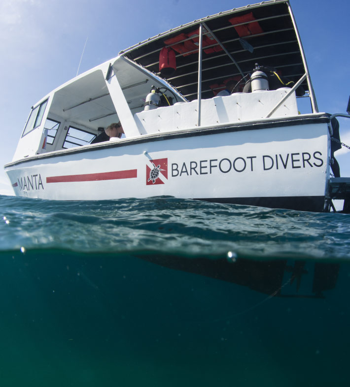 Barefoot Cay Daily Dive Boat
